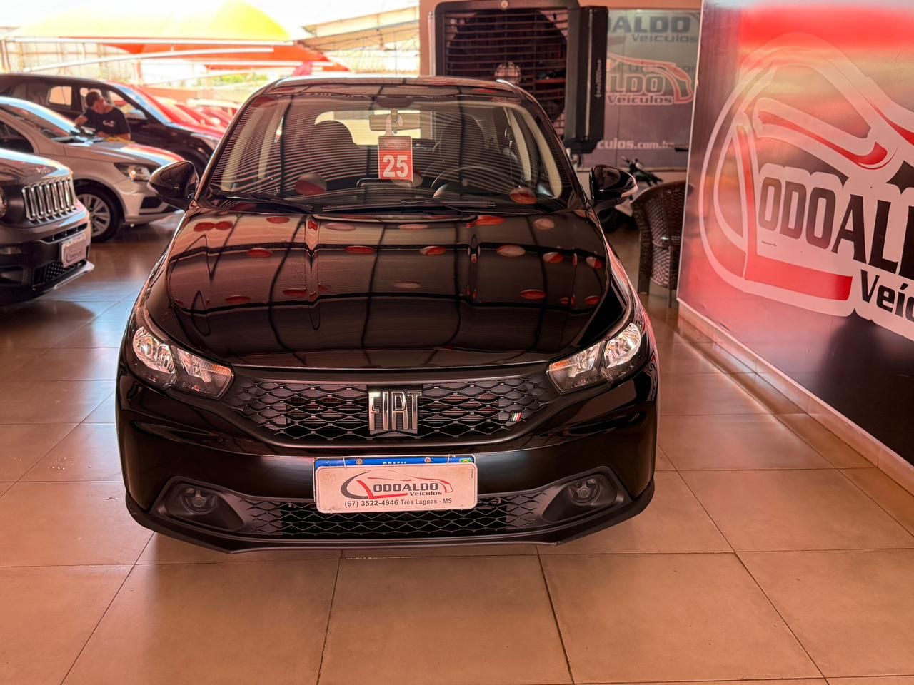 ARGO DRIVE 1.0 6V Flex