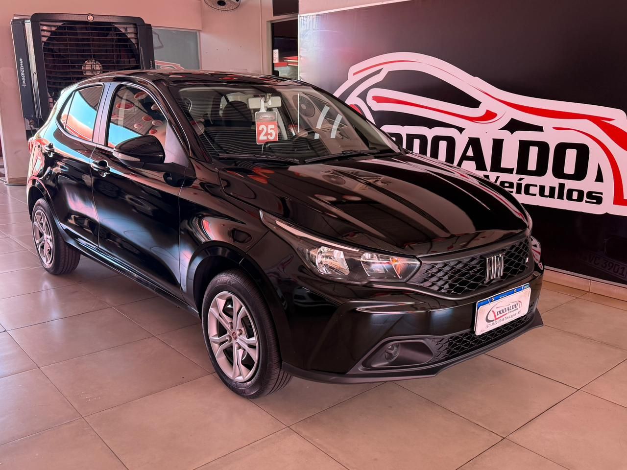 ARGO DRIVE 1.0 6V Flex