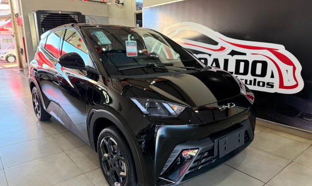 Dolphin Mini (Elétrico)