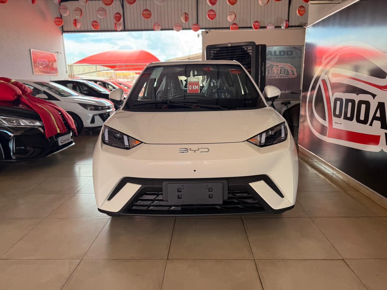 DOLPHIN MINI (ELÉTRICO)