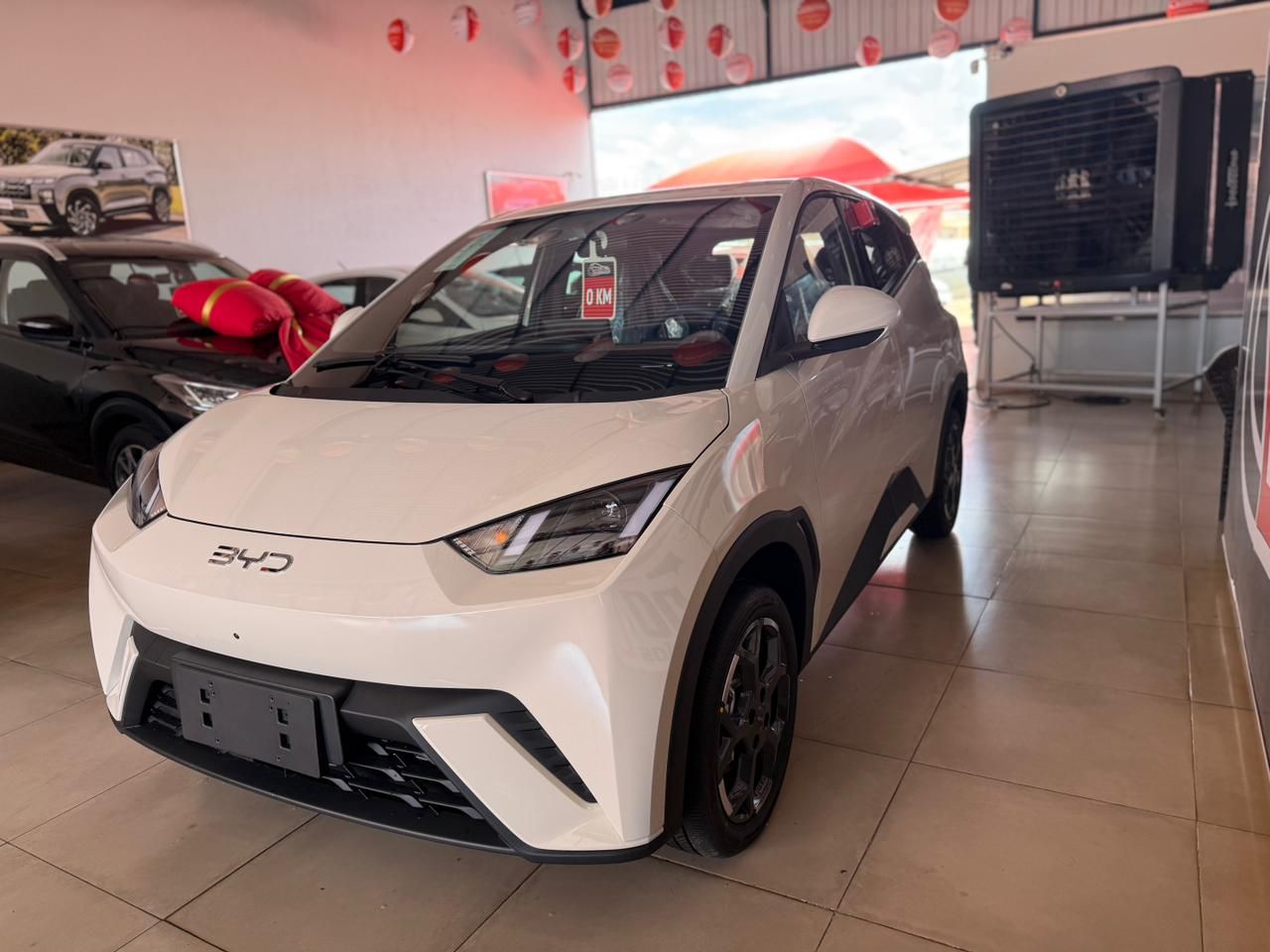 DOLPHIN MINI (ELÉTRICO)