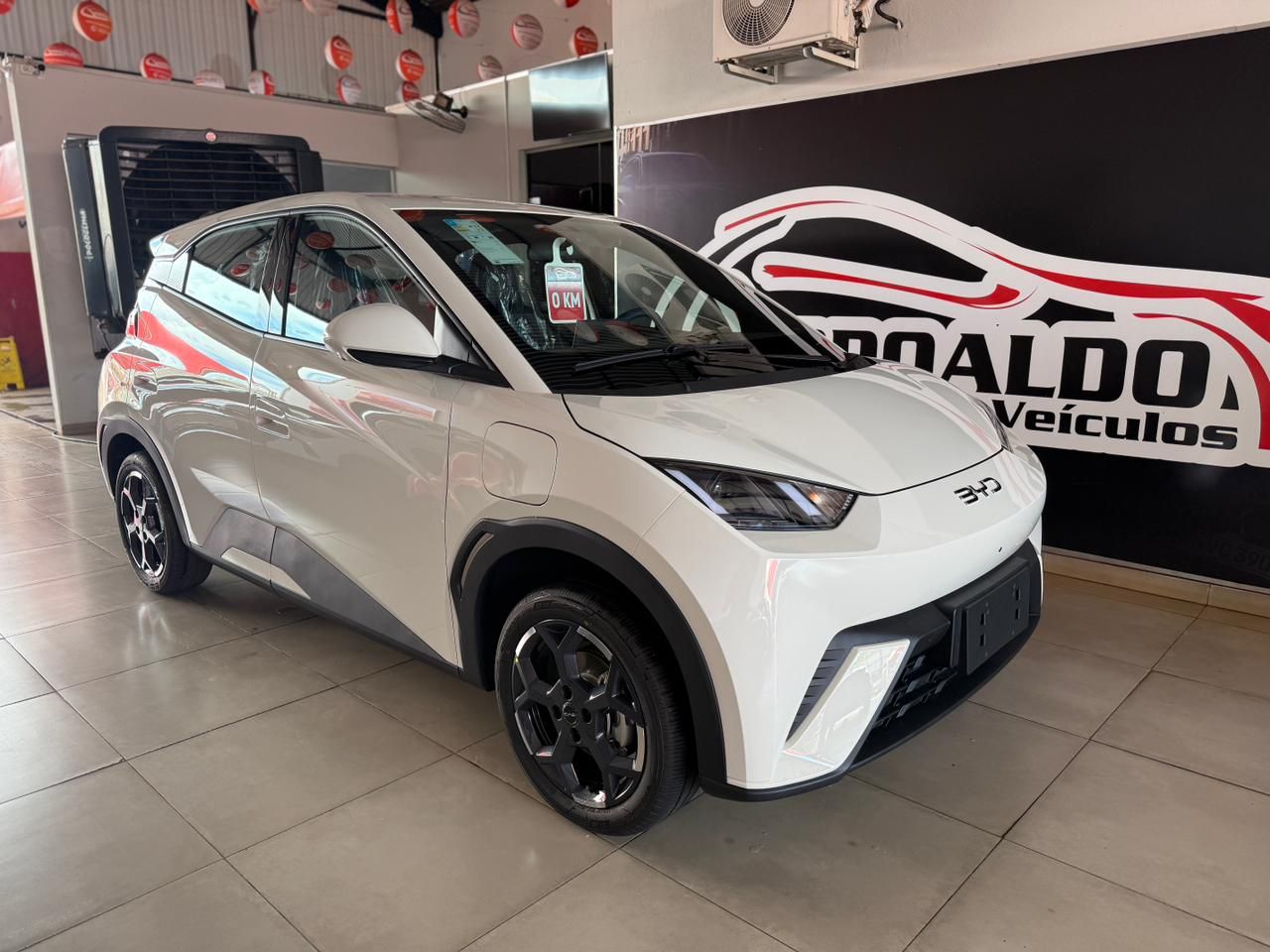 DOLPHIN MINI (ELÉTRICO)