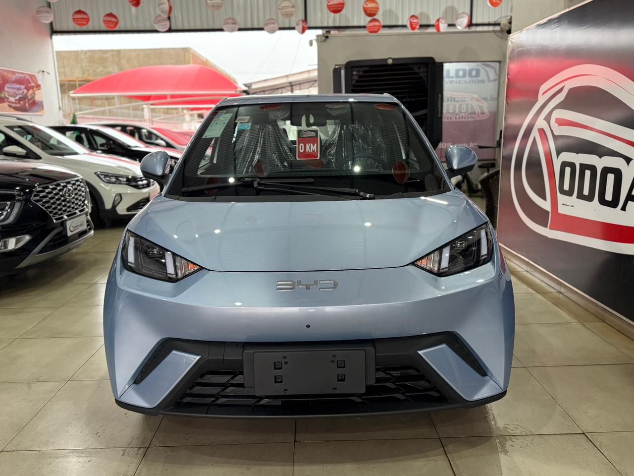 Dolphin Mini (Elétrico)