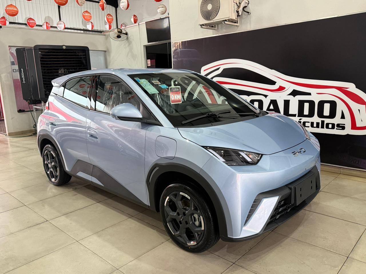 Dolphin Mini (Elétrico)