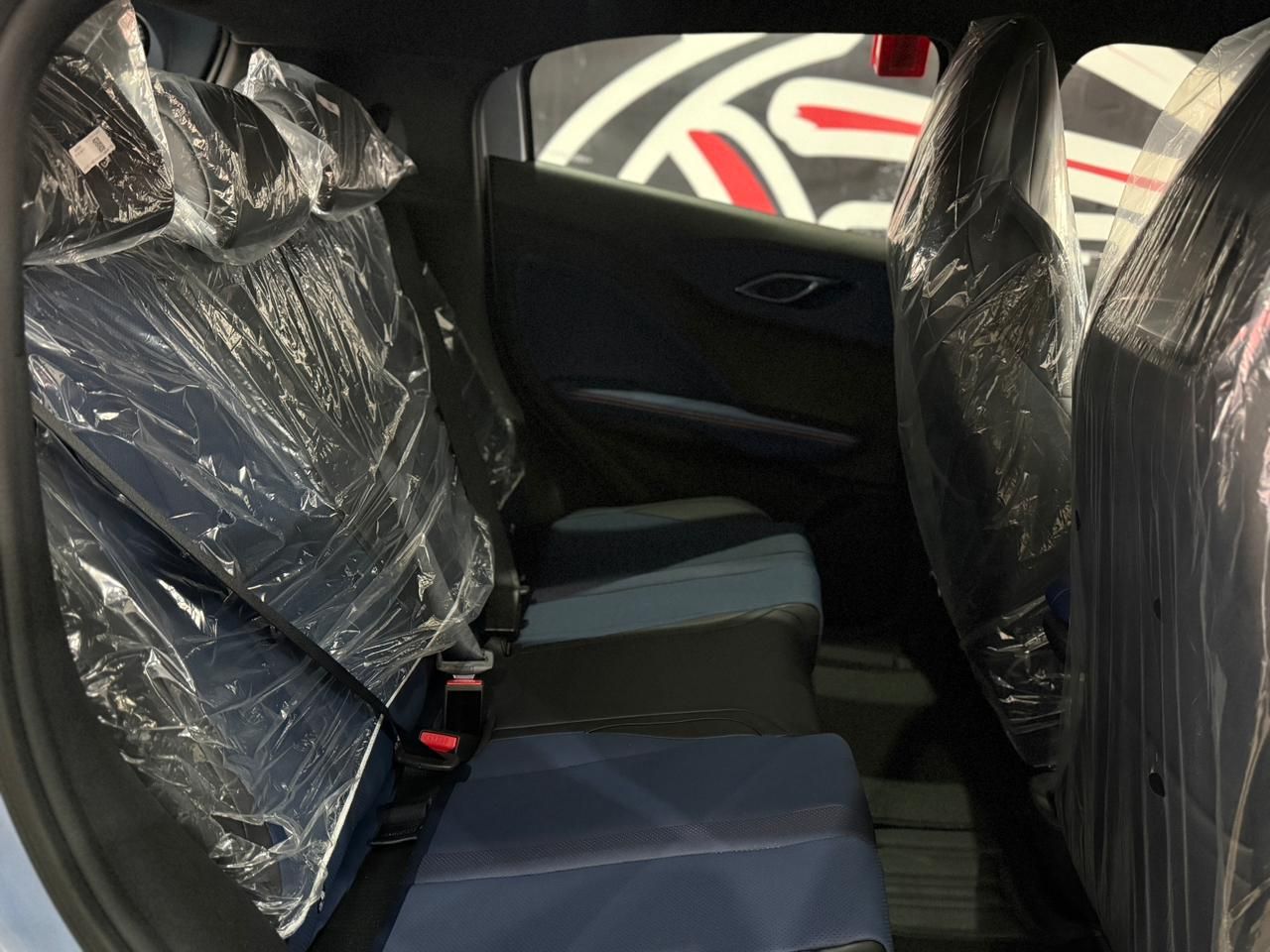 Dolphin Mini (Elétrico)
