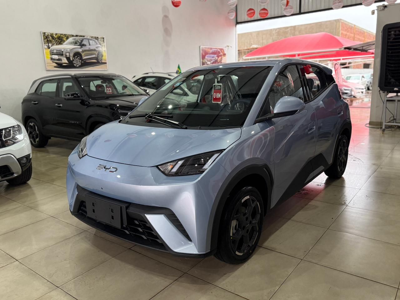 Dolphin Mini (Elétrico)