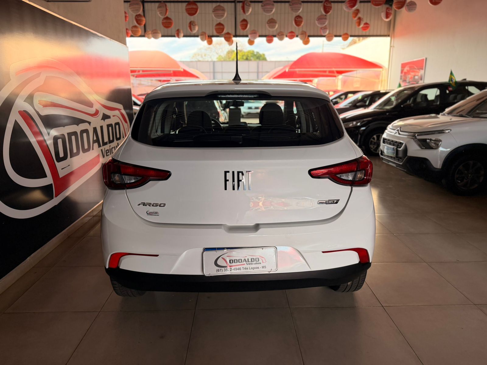 ARGO DRIVE 1.0 6V Flex
