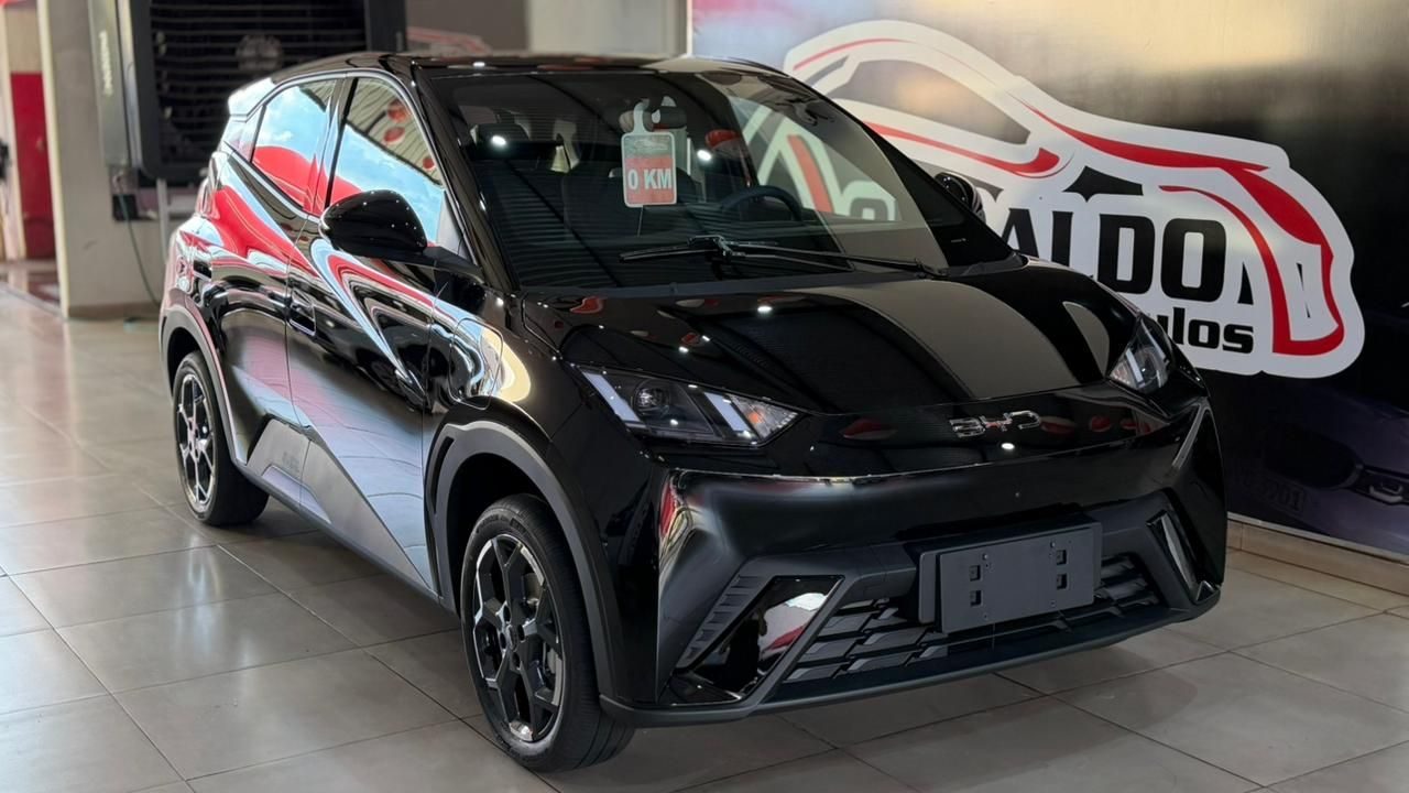 Dolphin Mini (Elétrico)