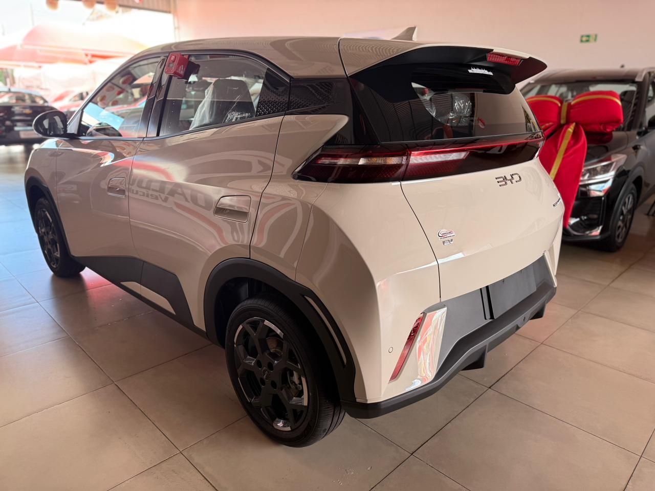 Dolphin Mini (Elétrico)