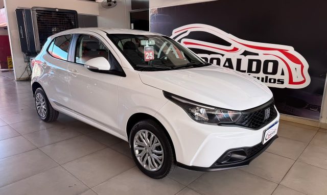 ARGO DRIVE 1.0 6V Flex