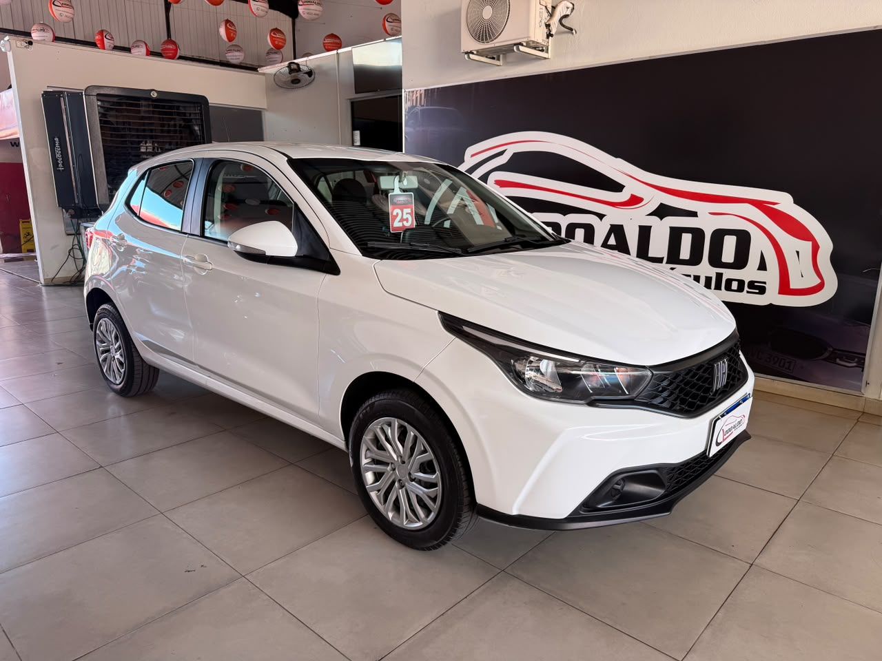 ARGO DRIVE 1.0 6V Flex